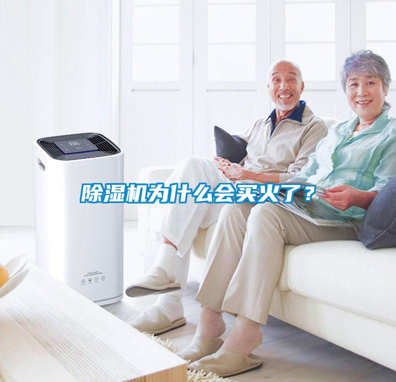 除濕機為什么會買火了？