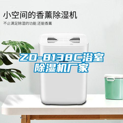 ZD-8138C浴室除濕機(jī)廠家