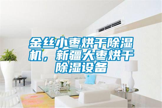 金絲小棗烘干除濕機(jī)，新疆大棗烘干除濕設(shè)備