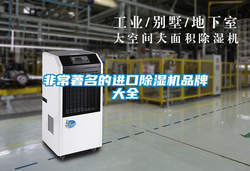 非常著名的進(jìn)口除濕機(jī)品牌大全