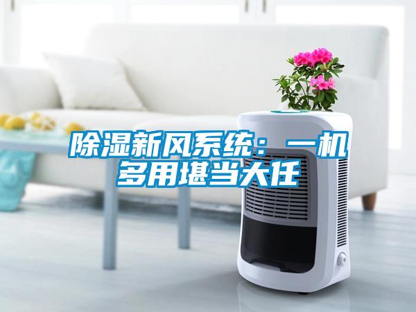 除濕新風系統(tǒng)：一機多用堪當大任