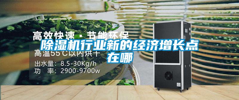 除濕機(jī)行業(yè)新的經(jīng)濟(jì)增長點在哪