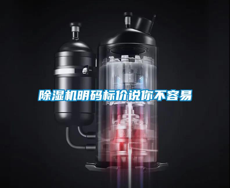 除濕機(jī)明碼標(biāo)價說你不容易