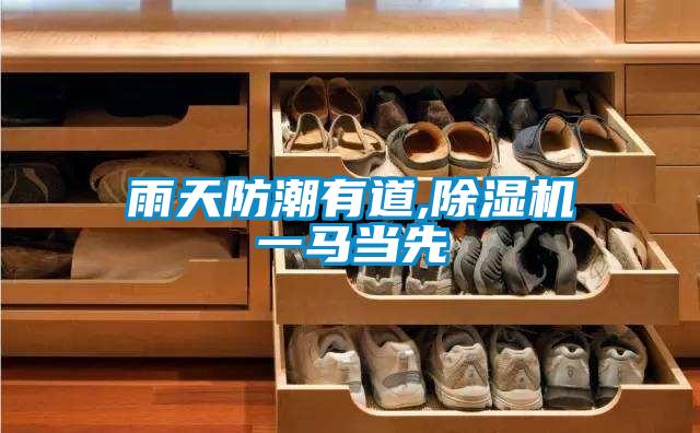 雨天防潮有道,除濕機(jī)一馬當(dāng)先