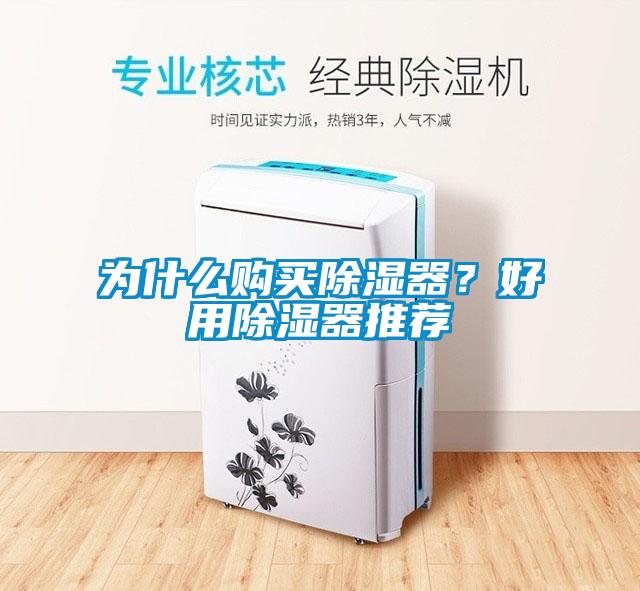 為什么購買除濕器？好用除濕器推薦