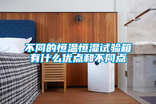 不同的恒溫恒濕試驗(yàn)箱有什么優(yōu)點(diǎn)和不同點(diǎn)