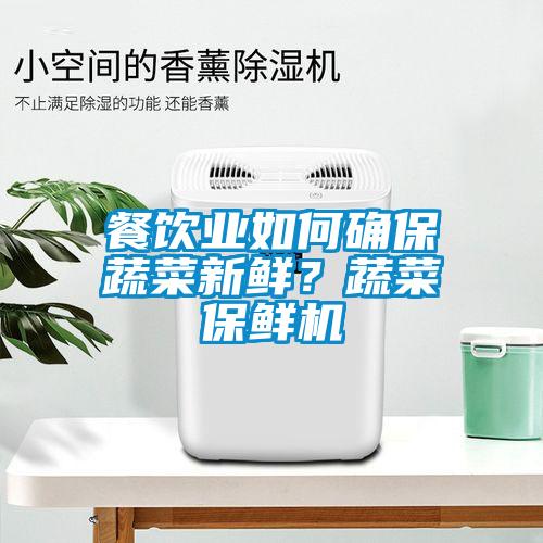 餐飲業(yè)如何確保蔬菜新鮮？蔬菜保鮮機(jī)