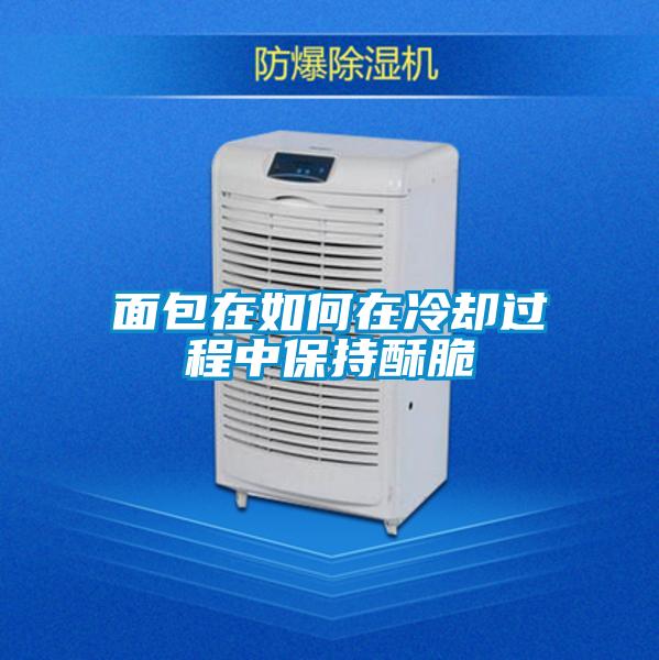 面包在如何在冷卻過程中保持酥脆