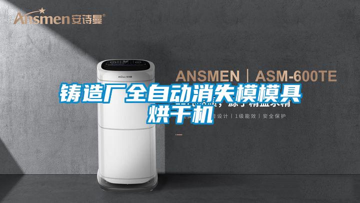 鑄造廠全自動消失模模具烘干機(jī)