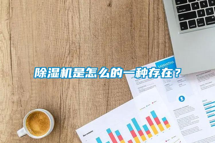除濕機(jī)是怎么的一種存在？