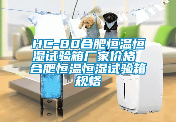 HC-80合肥恒溫恒濕試驗(yàn)箱廠家價(jià)格 合肥恒溫恒濕試驗(yàn)箱規(guī)格