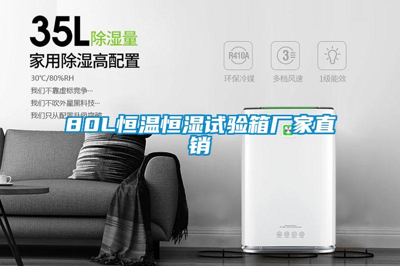 80L恒溫恒濕試驗(yàn)箱廠家直銷