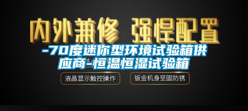-70度迷你型環(huán)境試驗箱供應商-恒溫恒濕試驗箱