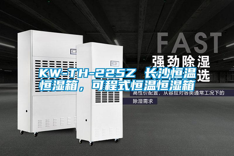 KW-TH-225Z 長(zhǎng)沙恒溫恒濕箱,可程式恒溫恒濕箱