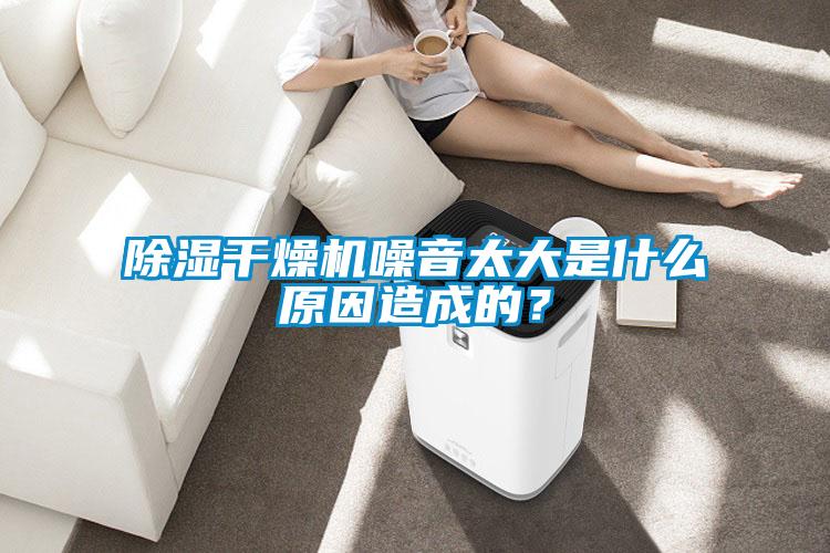 除濕干燥機噪音太大是什么原因造成的？