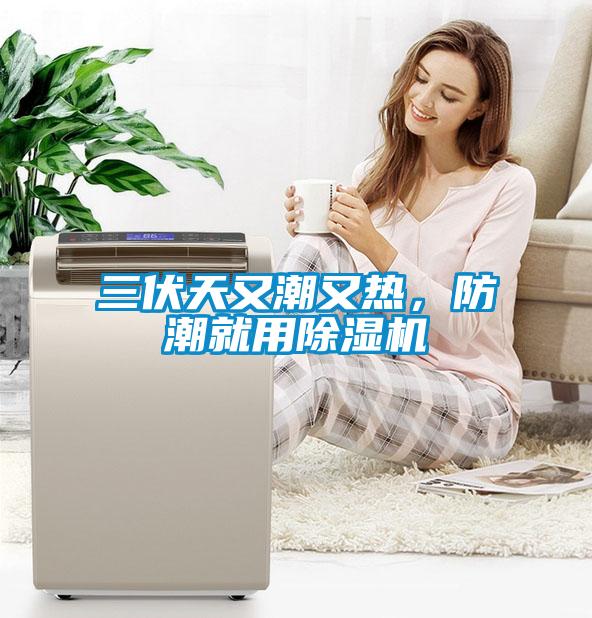 三伏天又潮又熱，防潮就用除濕機(jī)