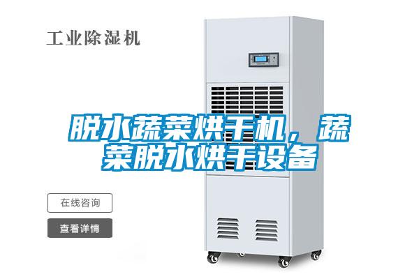 脫水蔬菜烘干機，蔬菜脫水烘干設(shè)備