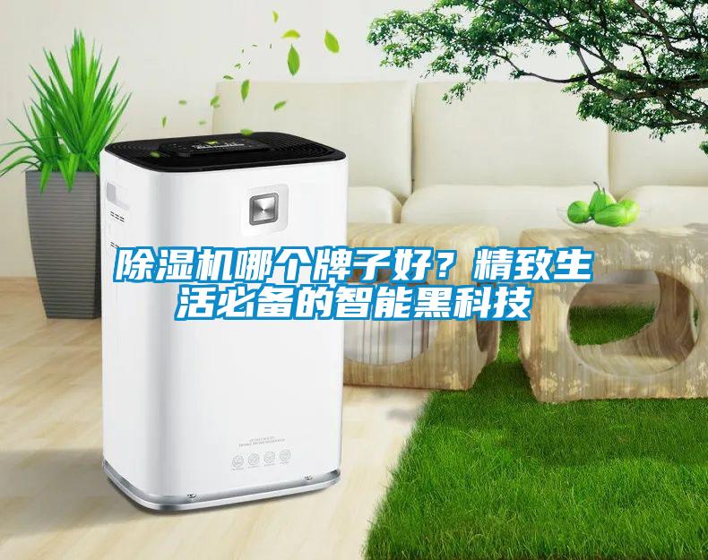 除濕機(jī)哪個牌子好?精致生活必備的智能黑科技