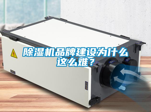 除濕機(jī)品牌建設(shè)為什么這么難？