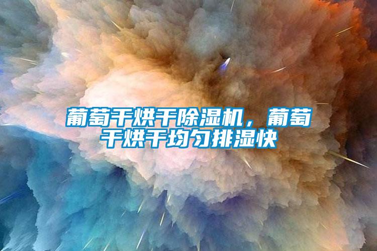 葡萄干烘干除濕機，葡萄干烘干均勻排濕快