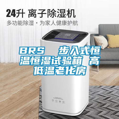 BRS 步入式恒溫恒濕試驗(yàn)箱 高低溫老化房