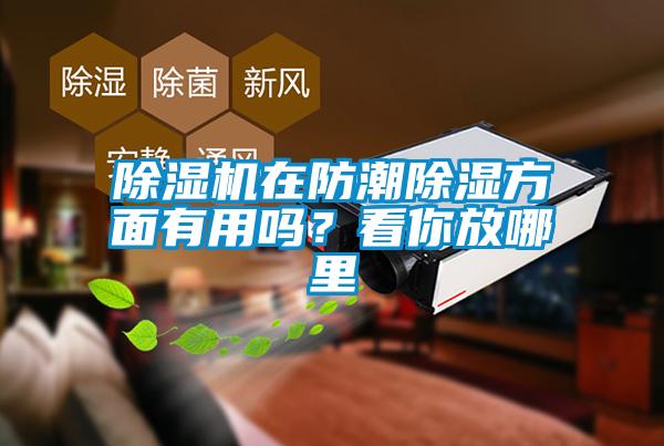 除濕機在防潮除濕方面有用嗎？看你放哪里