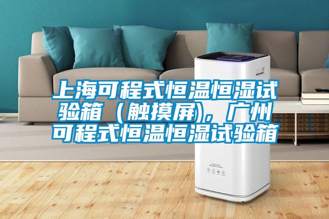 上?？沙淌胶銣睾銤裨囼?yàn)箱（觸摸屏)，廣州可程式恒溫恒濕試驗(yàn)箱