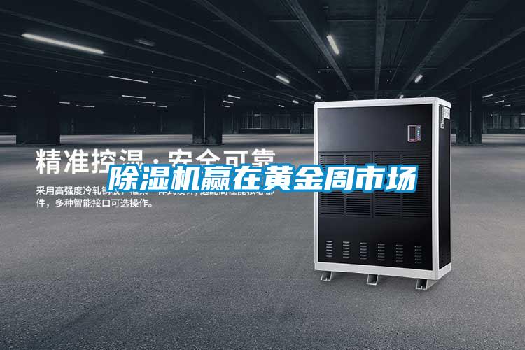 除濕機(jī)贏在黃金周市場(chǎng)