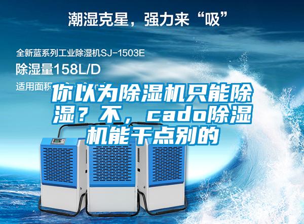 你以為除濕機(jī)只能除濕？不，cado除濕機(jī)能干點(diǎn)別的