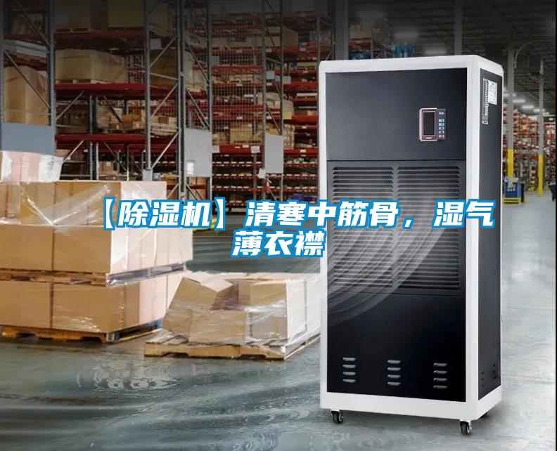 【除濕機】清寒中筋骨，濕氣薄衣襟