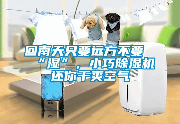 回南天只要遠(yuǎn)方不要“濕”，小巧除濕機(jī)還你干爽空氣