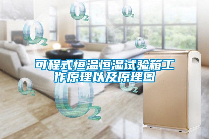 可程式恒溫恒濕試驗(yàn)箱工作原理以及原理圖