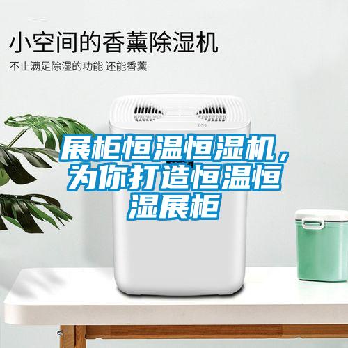 展柜恒溫恒濕機(jī)，為你打造恒溫恒濕展柜
