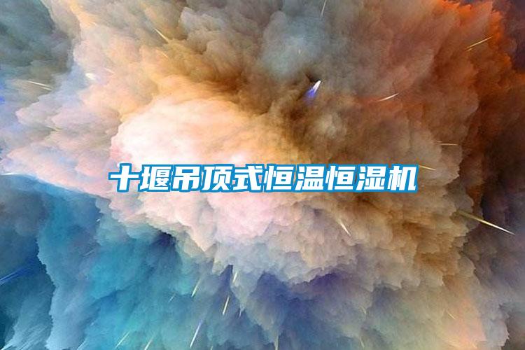 十堰吊頂式恒溫恒濕機(jī)