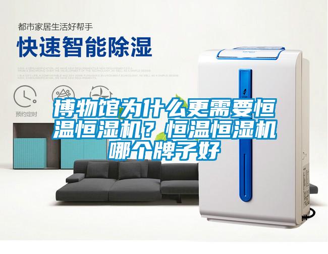 博物館為什么更需要恒溫恒濕機(jī)？恒溫恒濕機(jī)哪個(gè)牌子好
