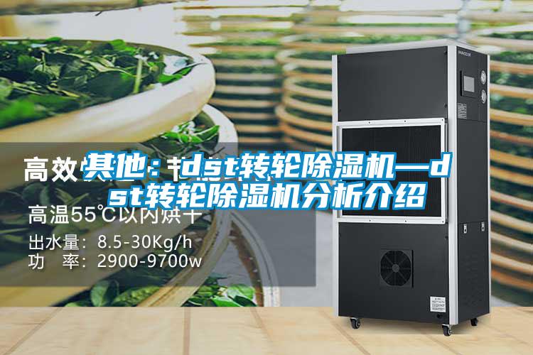 其他:dst轉輪除濕機—dst轉輪除濕機分析介紹