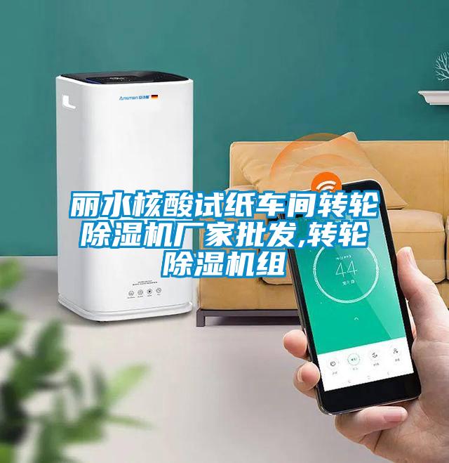 麗水核酸試紙車(chē)間轉(zhuǎn)輪除濕機(jī)廠家批發(fā),轉(zhuǎn)輪除濕機(jī)組