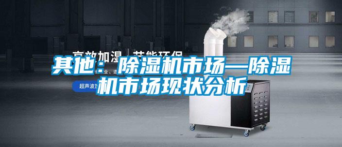 其他：除濕機(jī)市場—除濕機(jī)市場現(xiàn)狀分析