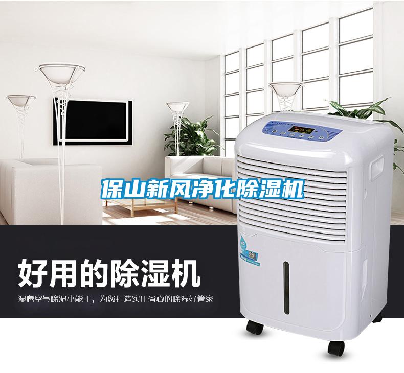 保山新風(fēng)凈化除濕機(jī)
