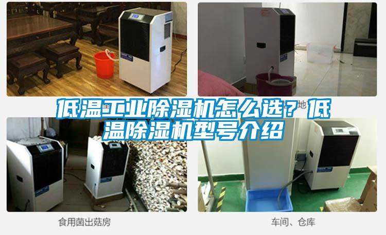 低溫工業(yè)除濕機(jī)怎么選？低溫除濕機(jī)型號介紹