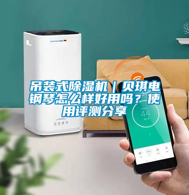 吊裝式除濕機(jī)｜貝琪電鋼琴怎么樣好用嗎？使用評(píng)測分享