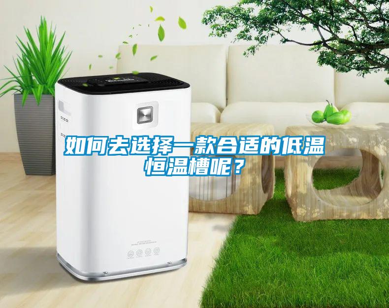 如何去選擇一款合適的低溫恒溫槽呢？