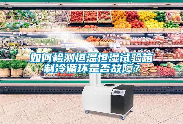 如何檢測恒溫恒濕試驗箱制冷循環(huán)是否故障？