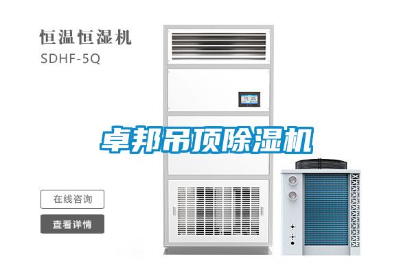 卓邦吊頂除濕機
