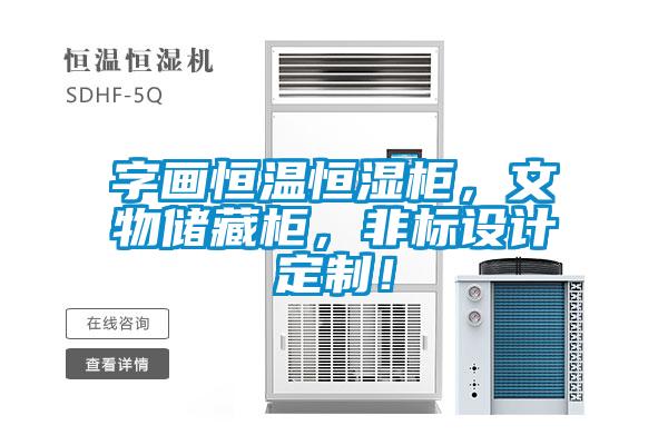 字畫恒溫恒濕柜，文物儲(chǔ)藏柜，非標(biāo)設(shè)計(jì)定制！