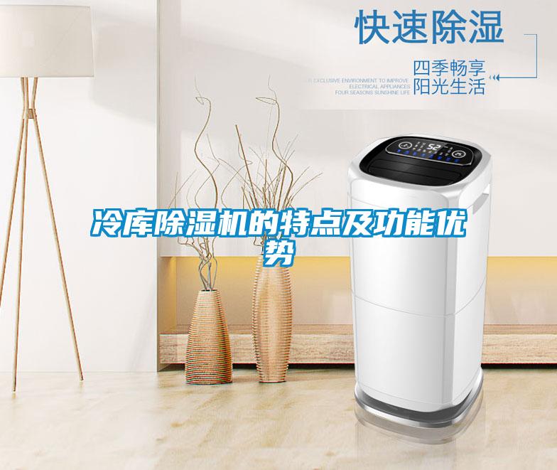 冷庫除濕機(jī)的特點(diǎn)及功能優(yōu)勢
