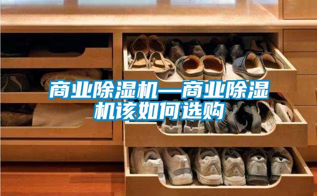 商業(yè)除濕機(jī)—商業(yè)除濕機(jī)該如何選購(gòu)