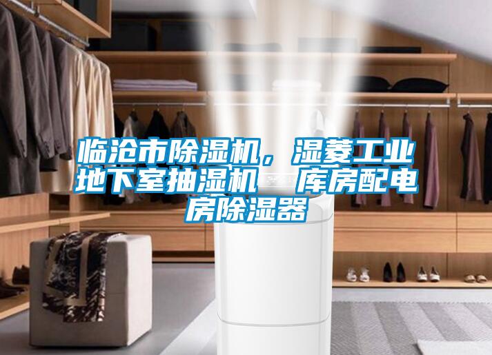 臨滄市除濕機(jī)，濕菱工業(yè)地下室抽濕機(jī)  庫房配電房除濕器