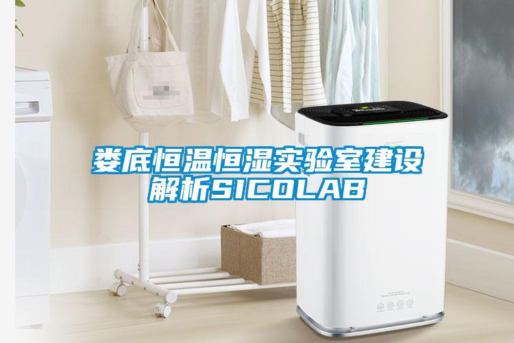 婁底恒溫恒濕實驗室建設(shè)解析SICOLAB