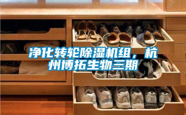 凈化轉(zhuǎn)輪除濕機組，杭州博拓生物三期